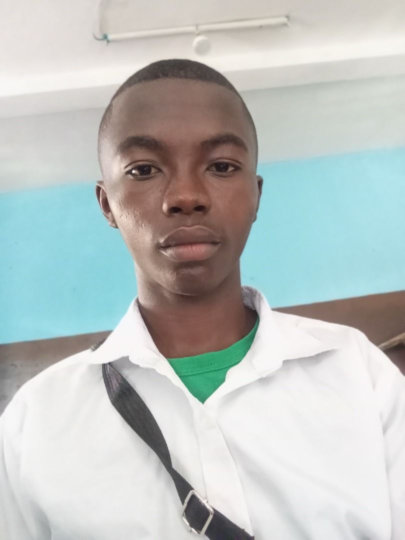 Avatar de l'auteur de l'article