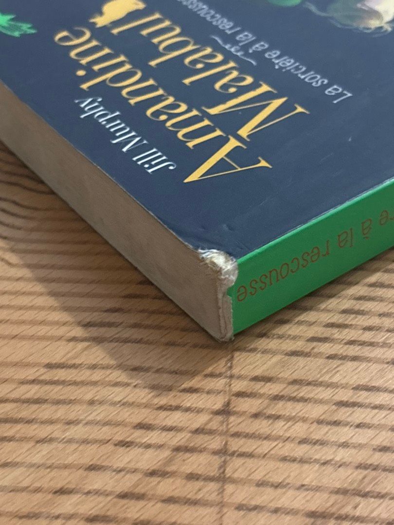 Image de ton article