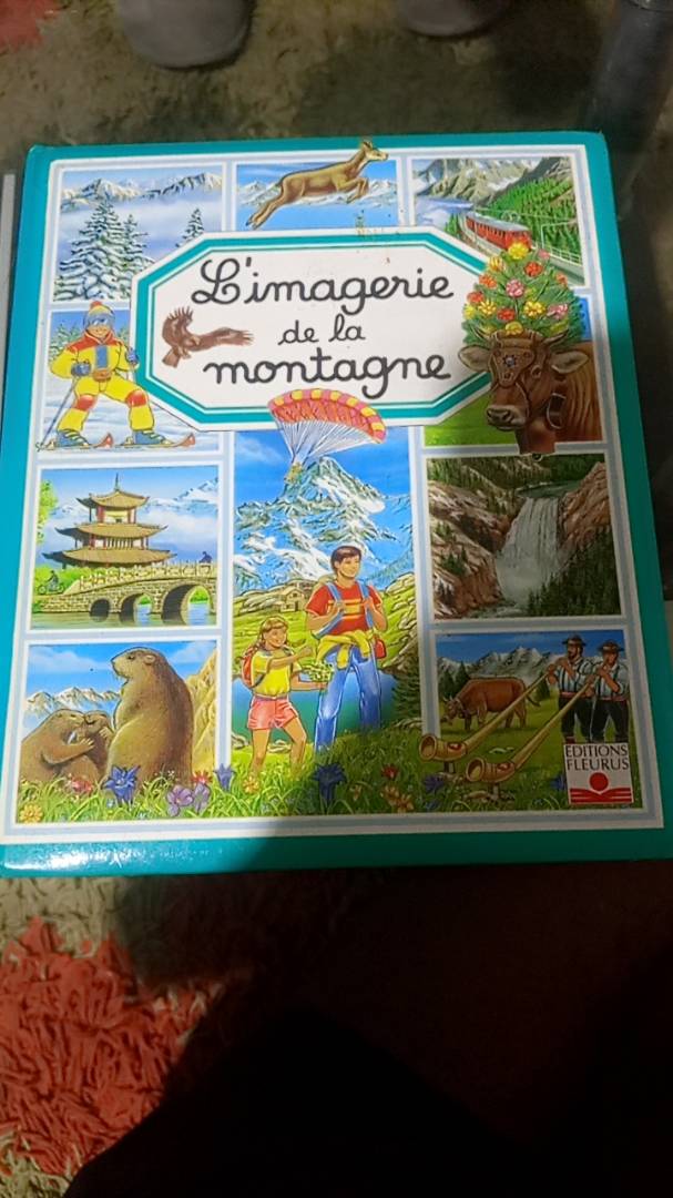 Image de votre annonce