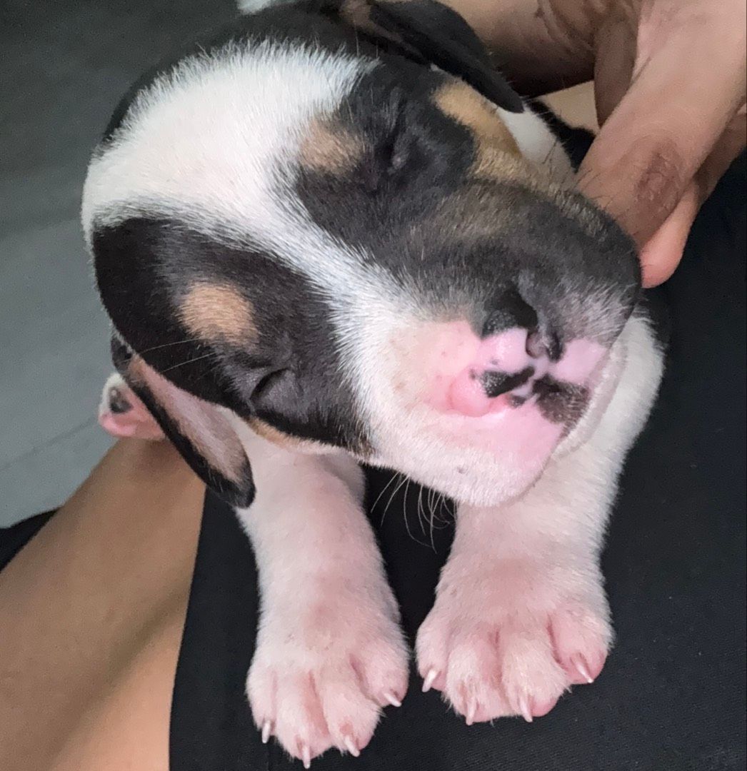 Avatar de l'auteur de l'article