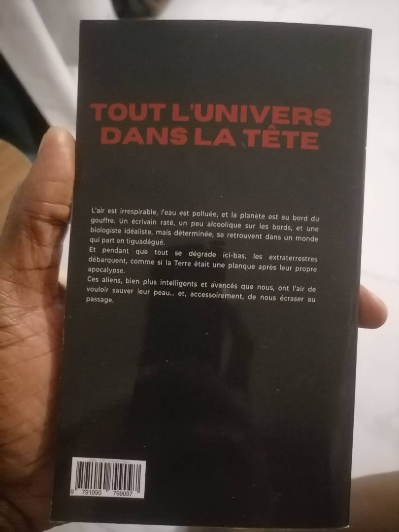 Image de ton article