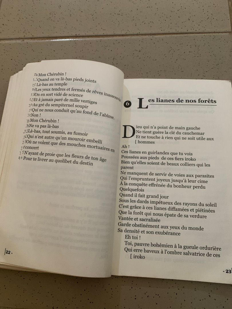 Image de ton article