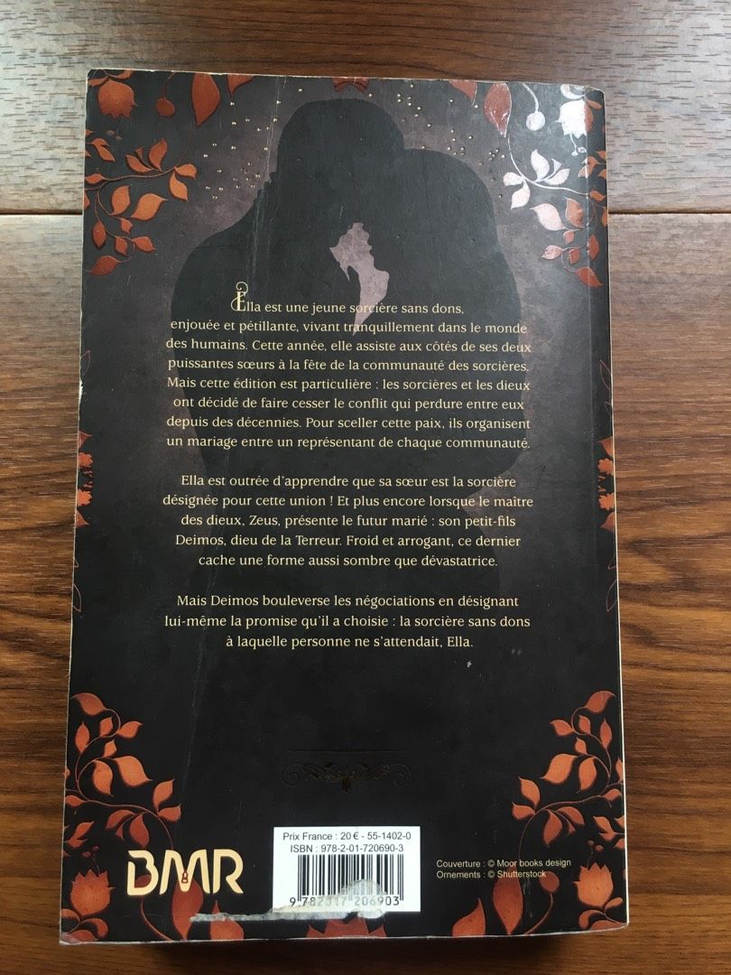 Image de votre annonce