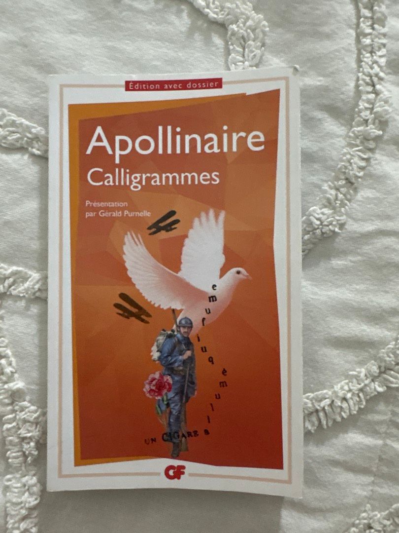 Image de ton article