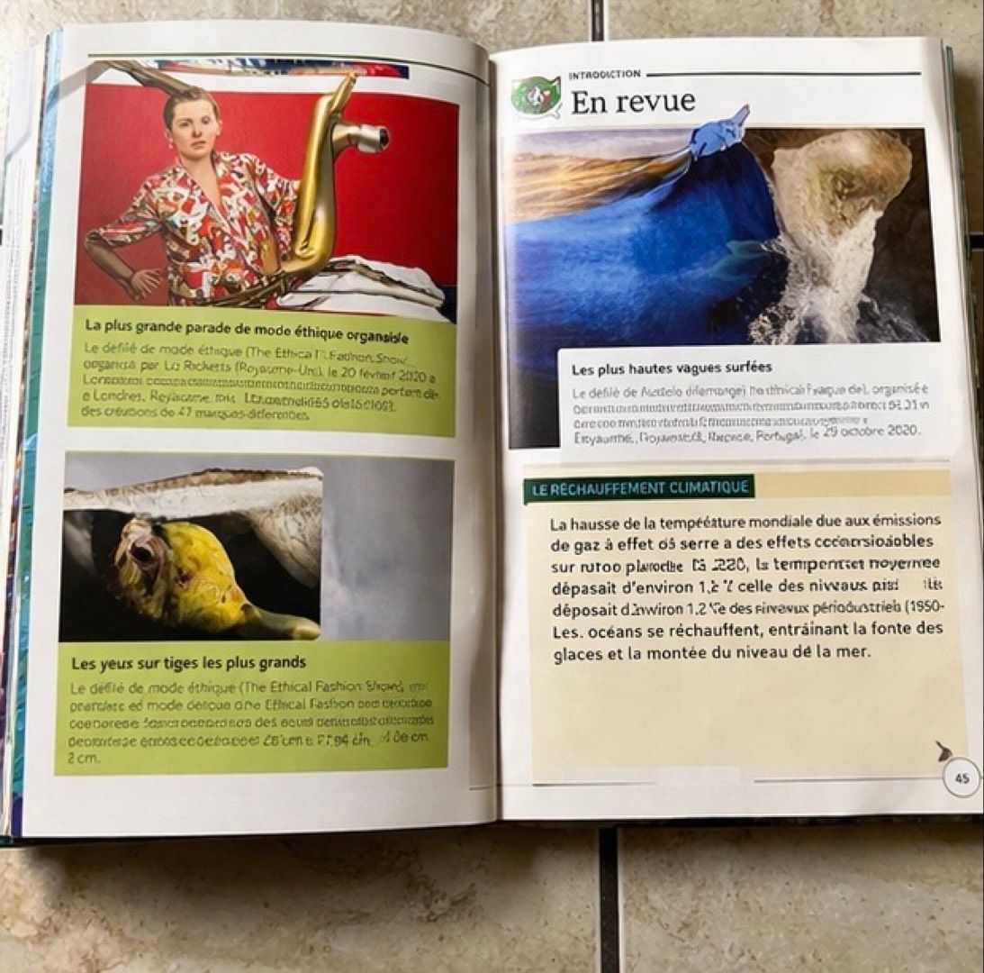 Image de ton article