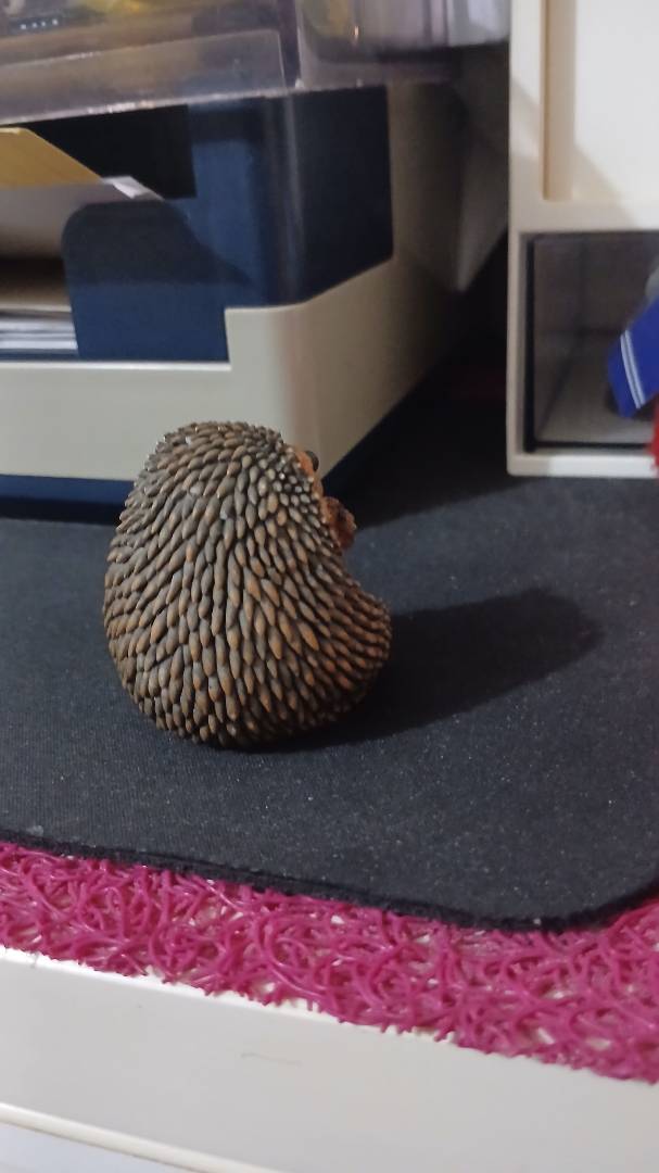 Image de ton article