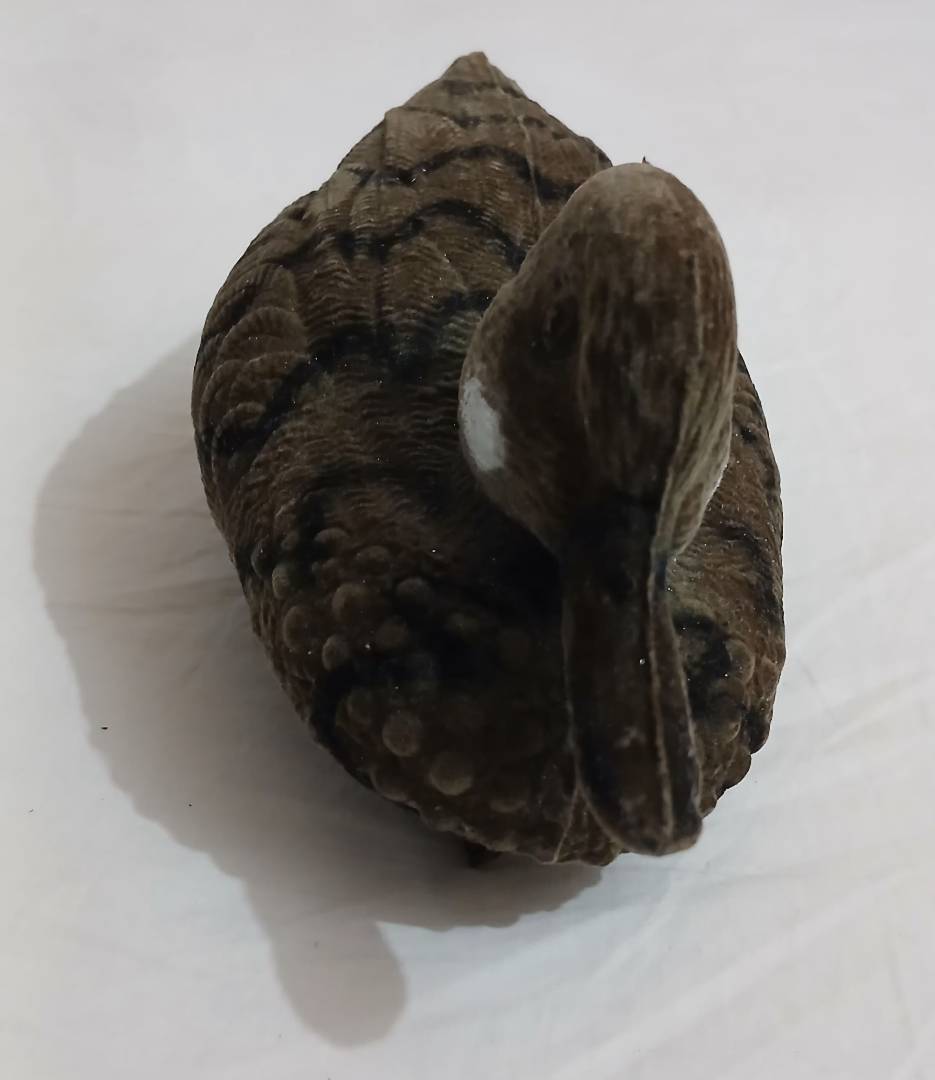 Image de ton article