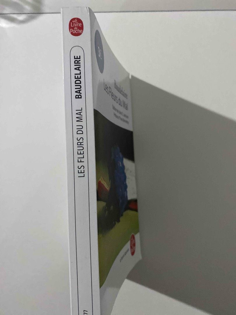 Image de votre annonce