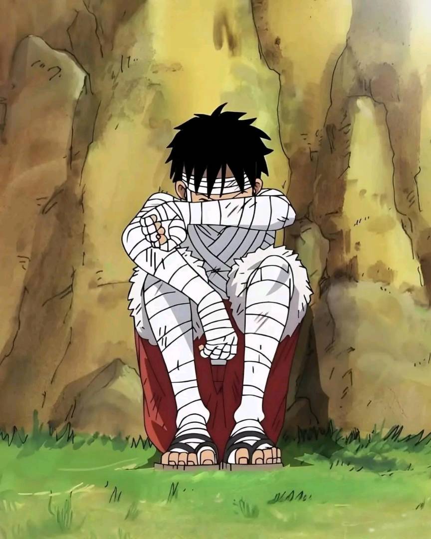 Avatar de l'auteur de l'annonce