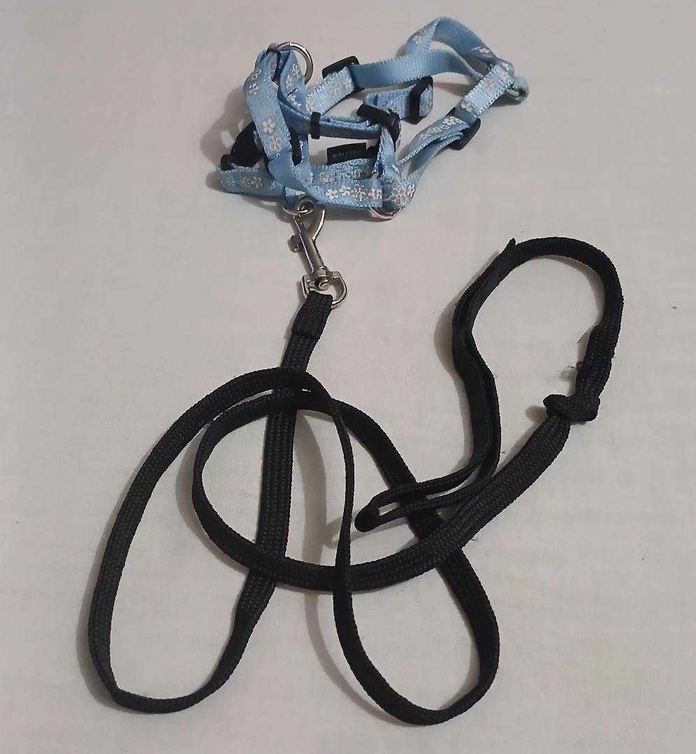 Image de ton article