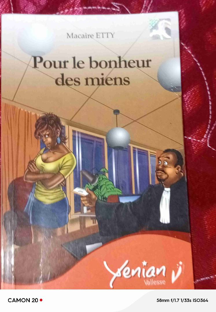 Image de ton article