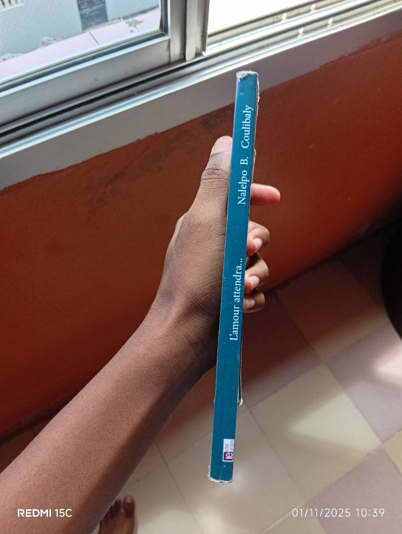 Image de ton article