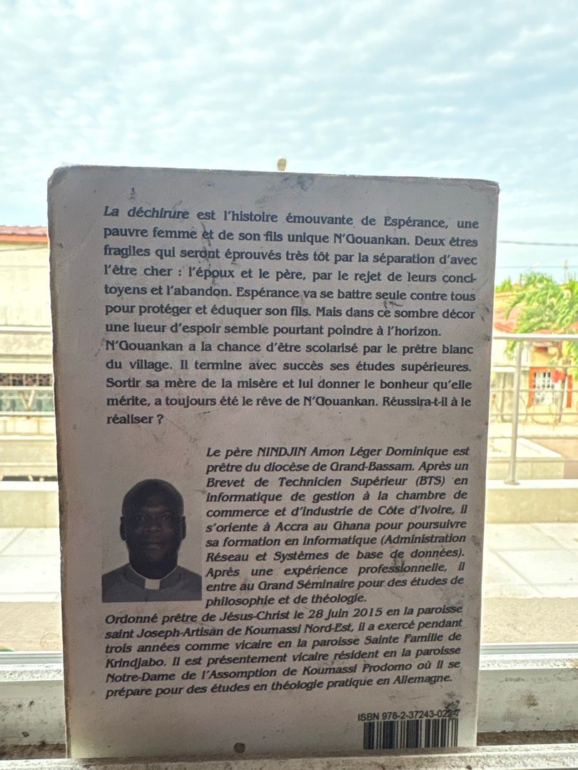 Image de ton article