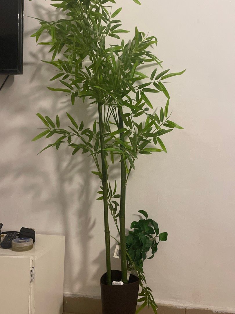 Image de ton article