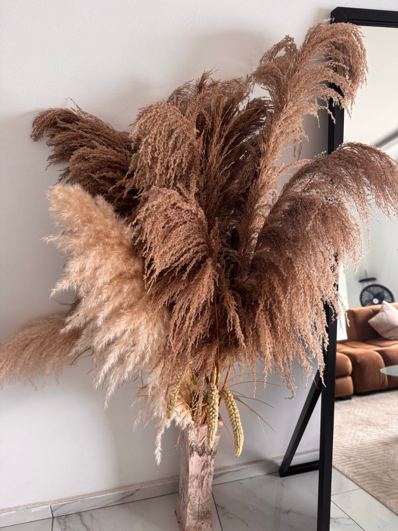 Image de ton article