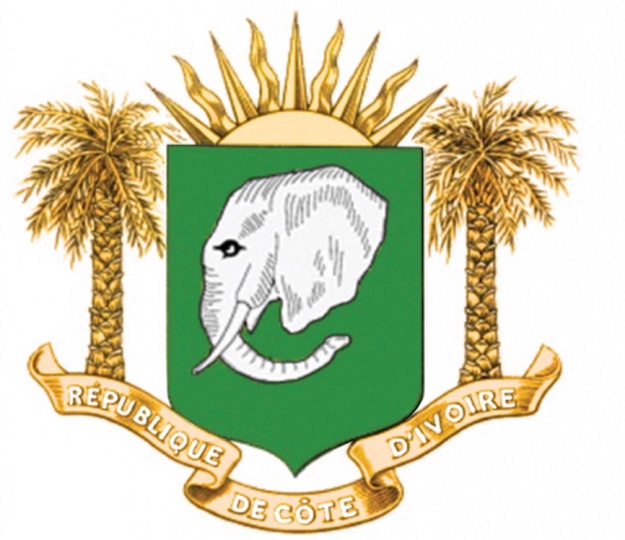 Avatar de l'auteur de l'article