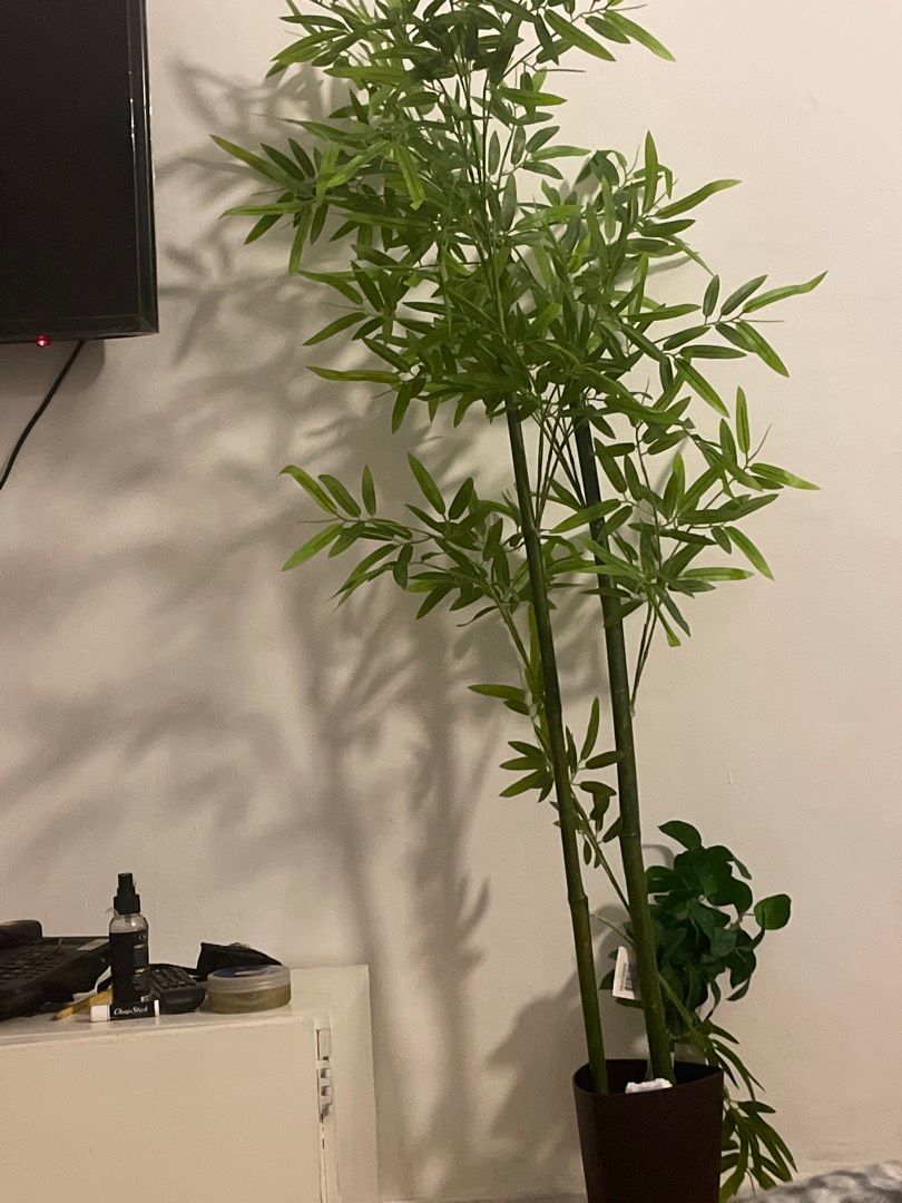 Image de ton article