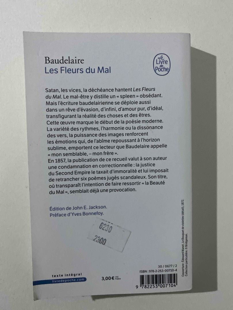 Image de votre annonce