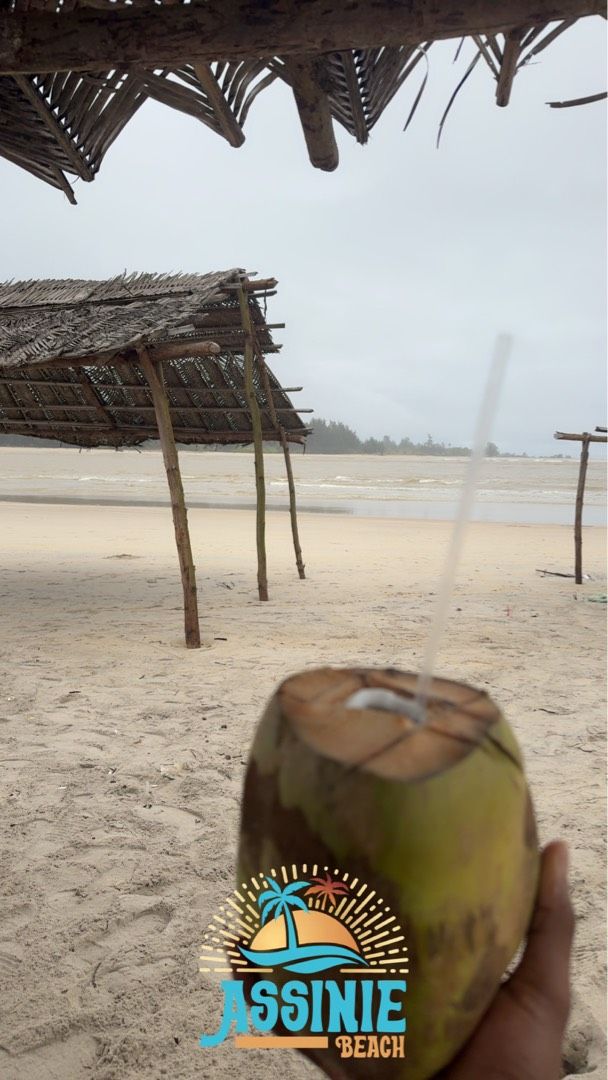 Avatar de l'auteur de l'article