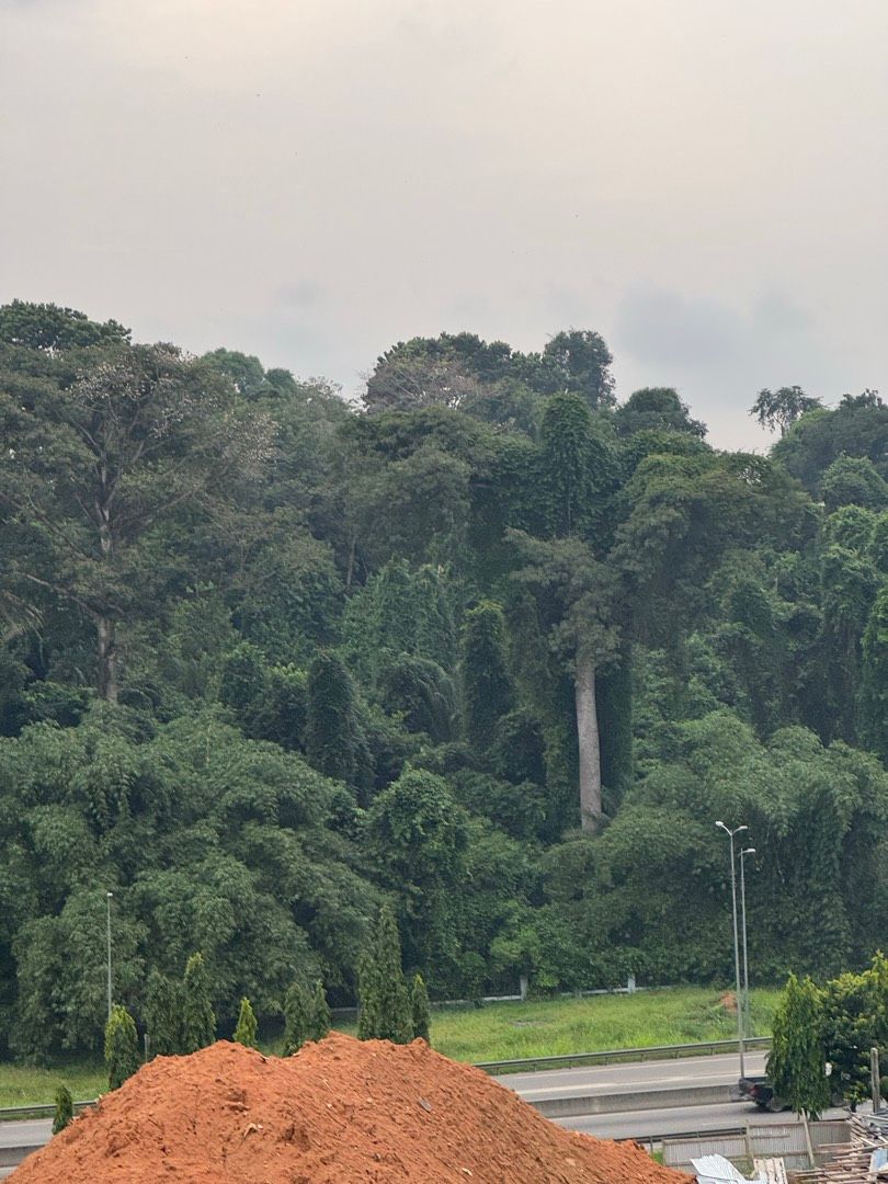 Avatar de l'auteur de l'article
