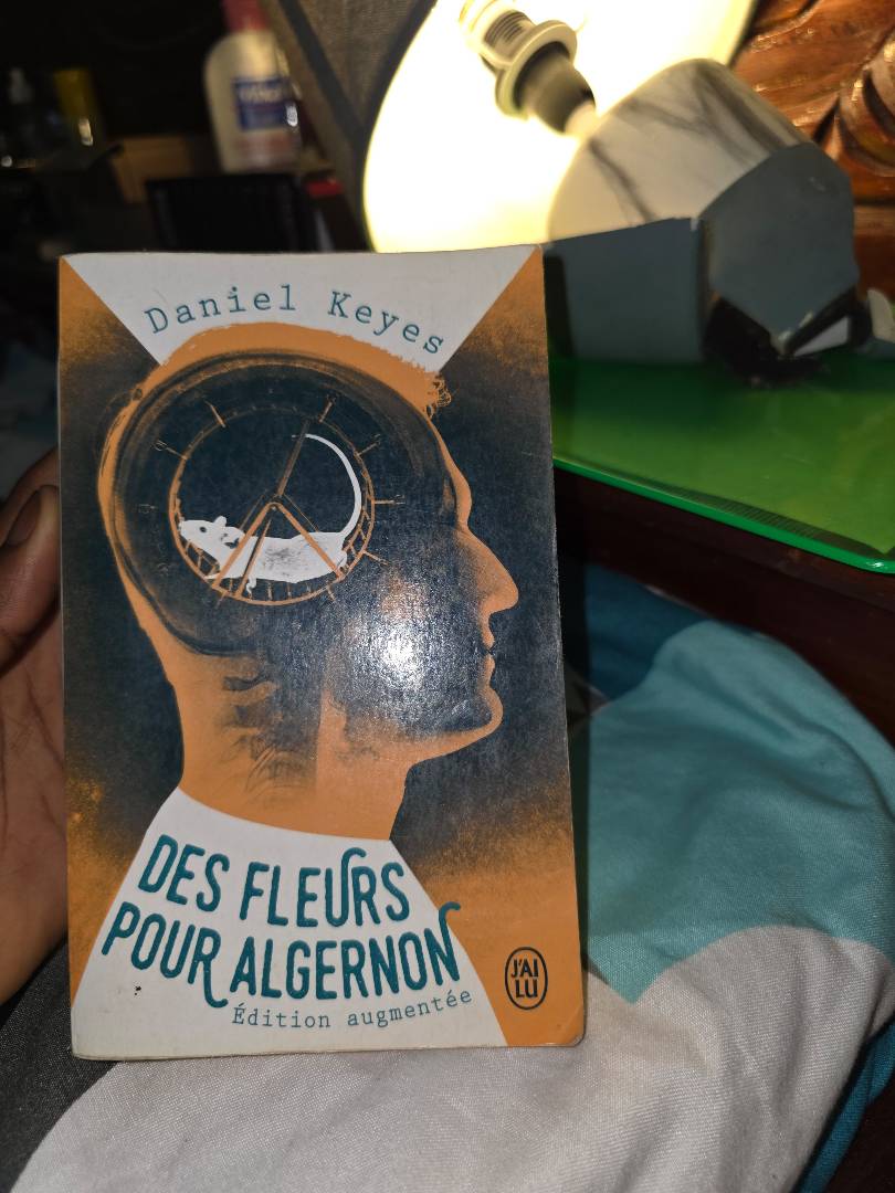 Image de ton article