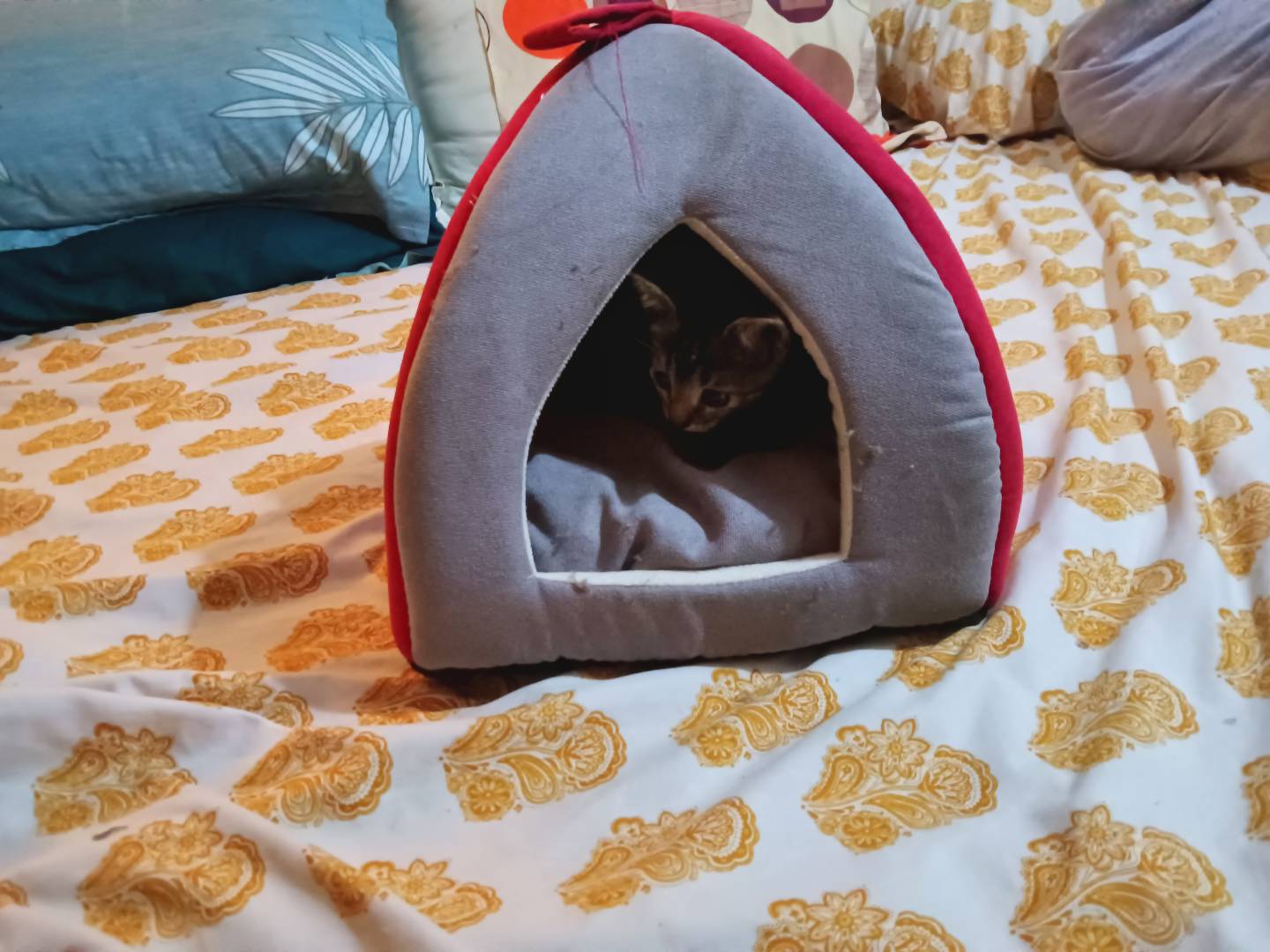 Image de ton article