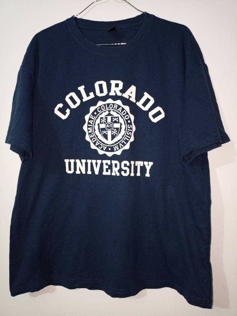 Image de ton article