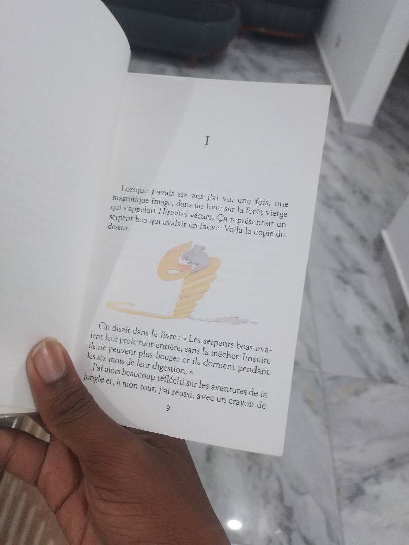 Image de ton article