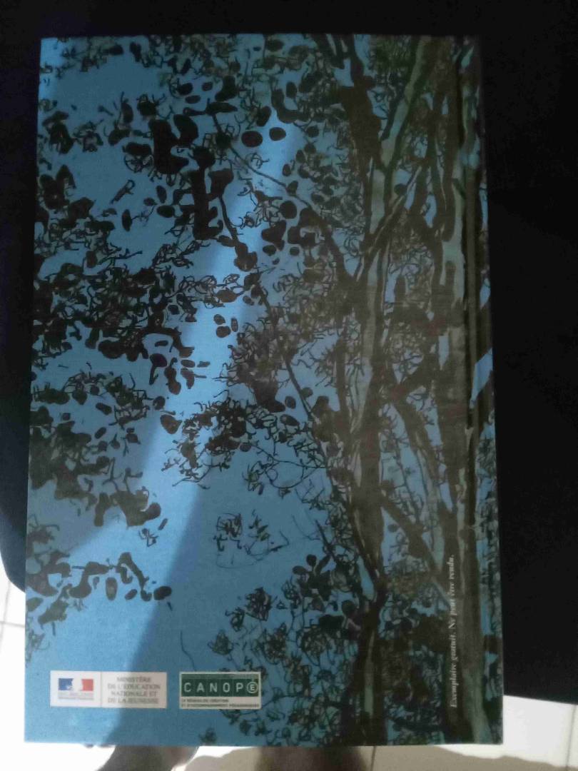 Image de votre annonce