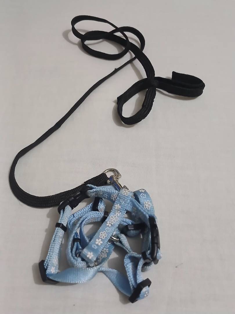 Image de ton article