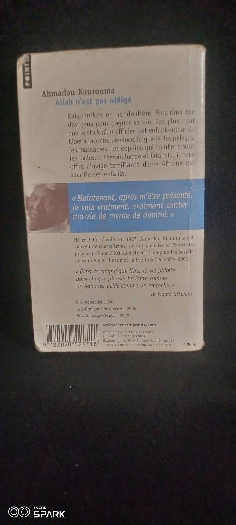 Image de ton article