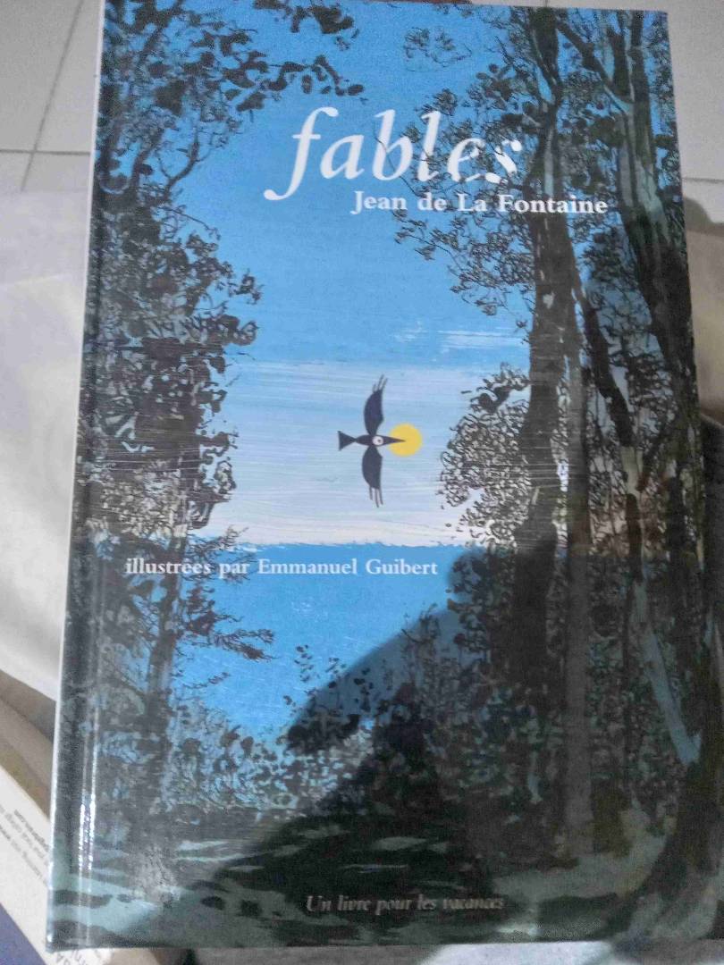 Image de votre annonce